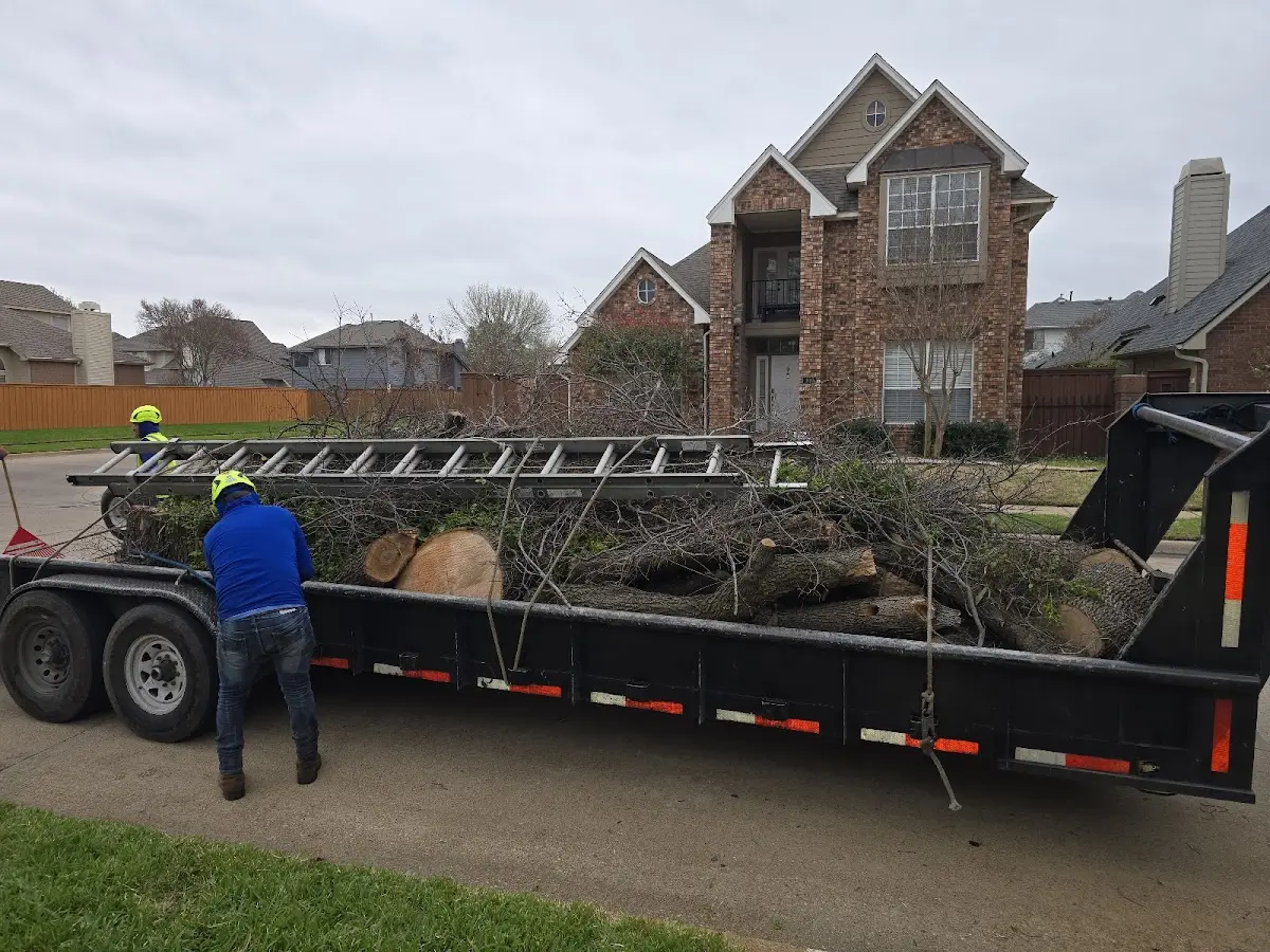 Expert Tree Fertilization with proper safety equipment in Irene